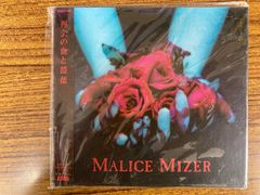 いのり feat. SAKURA Def Tech DVD - メルカリ