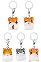 ハムスター倶楽部 めじるしアクセサリー 全5種セット