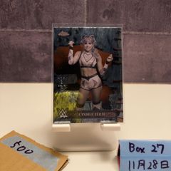 Item thumbnail for item 3d2c92c6-610b-4c9c-bc25-0718acb374d4