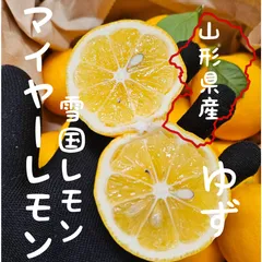 ★東北〜関西エリア専用★ 山形県産 ゆず　＆　マイヤーレモン 2キロ箱　ご家庭用　サイズミックス
