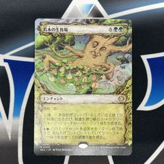 Item thumbnail for item 8e6bc52b-bedb-47f5-ac80-0cef93bd0245