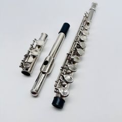 Item thumbnail for item e3305629-ba19-48ff-8367-80dbb718c33d