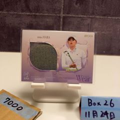 Item thumbnail for item 0b782597-26eb-4ae1-b073-a28c90906e81