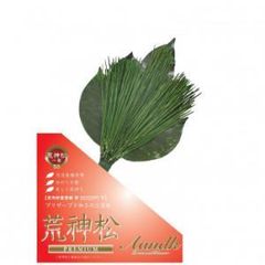 Item thumbnail for item 170670b3-a1f4-4fcc-8d75-57d0eefc45e1