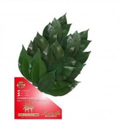 Item thumbnail for item 2ef891ca-bedf-483b-92f9-e0f741f2a048