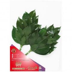 Item thumbnail for item 447ca756-5621-42ec-878b-2acb473e5959