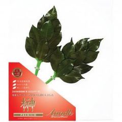 Item thumbnail for item 1c56c099-0ff9-484b-af10-c4779adf308a