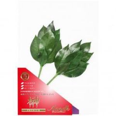 Item thumbnail for item 5d55ce1c-2c29-45d3-998e-5b6b31d63105