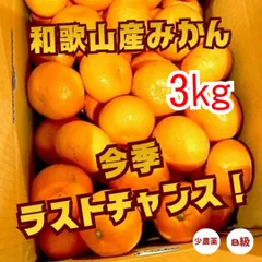減農薬 みかん 和歌山産 安心安全 ワックスなし 3kg 直送 送料無料