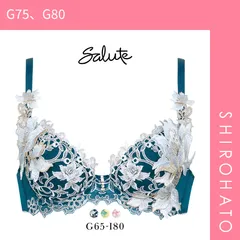 27％OFF【SHIROHATO公式】【正規品・新品】ワコール Wacoal サルート Salute 12G BTJ412 P-UP ブラジャー GHI プッシュアップ 谷間 単品 24AW先行 プレステージ(G75、G80)