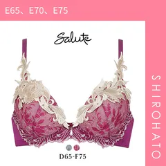 34％OFF【SHIROHATO公式】【正規品・新品】ワコール Wacoal サルート Salute 40周年 94G 23AW BTJ494 VIVA LINE ブラジャー DEF ビバライン 谷間 単品(E65、E70、E75)