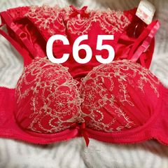 C65 ゴージャスビビットローズブラジャー&バック透けフルバック 