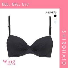 Item thumbnail for item 298d7060-06fc-470a-b73d-4a9d41865eb5