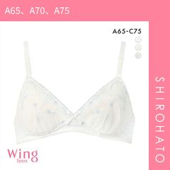 Item thumbnail for item b772f101-65ee-4a37-a6c2-d04cac6970ae