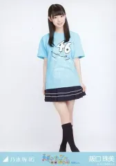 【中古】生写真(乃木坂46) 阪口珠美/全身(足見切れ)・ライブT/乃木坂46 真夏の全国ツアー2018 福岡ver. 会場限定ランダム生写真