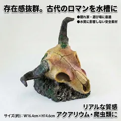 2026年最新】水牛 頭蓋骨の人気アイテム - メルカリ