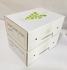 シャインマスカット 3kg 家庭用 産地直送 - メルカリ