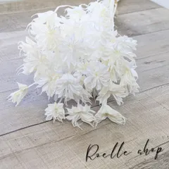 ニゲラオリエンタリス ニゲラ ホワイト プリザーブドフラワー ドライフラワー 花材 ハンドメイド花材 ブーケ リース ハーバリウム用 レジンアクセサリー用 アロマレンジ用 レジン封入用 DIY ギフト 装飾用