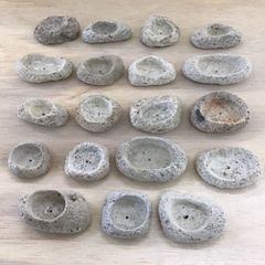 アイテラスの軽石鉢 19点セット｜軽量＆通気性抜群｜観葉植物や多肉植物に最適【m070701】