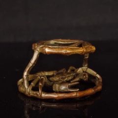 ディーラー製 管狐 | Mercari