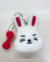 SEVENTEEN エスクプス ミニ틴 キーホルダー