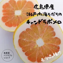 2026年最新】チャンドラポメロの人気アイテム - メルカリ