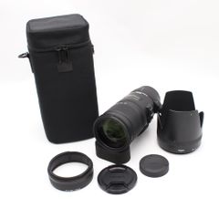 新品級】SIGMA 170-500mm APO DG SONY α 超望遠 - メルカリ