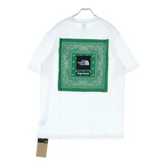 SUPREME (シュプリーム) 22SS ×THE NORTH FACE Bandana S/S Tee ザノースフェイス バンダナ クルーネック半袖Tシャツ カットソー ホワイト/グリーン NT02209I