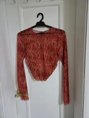 ZARA シースルー 長袖 トップス