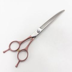 Item thumbnail for item 8c121f15-3437-419c-ba55-94dc73cfad79