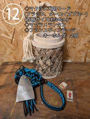 Item thumbnail for item e44aaeaa-447f-4840-8139-89594a8d109f