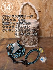 Item thumbnail for item ba37a93a-b565-487a-9394-2842f825c205