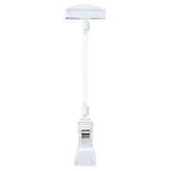 Item thumbnail for item 66e78fab-039c-49eb-b1da-ca5dd8571b5e