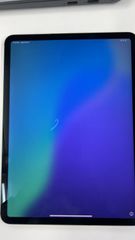 ジャンク品 iPad mini 5 Wi-Fi 64GB - スペースグレイ - メルカリ