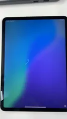 Apple iPad Pro 11インチ 256GB スペースグレイ  SIMフリー MXE42J/A