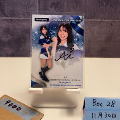 Item thumbnail for item feaa5a44-bd23-4ab3-92d4-5e089a3a3530