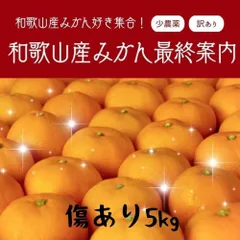 和歌山県産 みかん 減農薬 農家直送 完熟 産地直送 5kg 【安心安全・ノーワックス・防腐剤なし】 お子様やシニアの方も皮まで安心。昔ながらのコクと甘みが詰まった温州みかん。手選別で丁寧に梱包。その日に発送いたします。送料無料