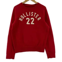 Hollister ホリスター 裏起毛 ロゴスウェット sizeM/レッド