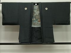 Item thumbnail for item 1b4d712c-3421-403f-9db1-2157175645cf