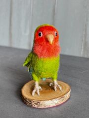 Steiff オウム parrot lora ボタン付 12cm ヴィンテージ - メルカリ