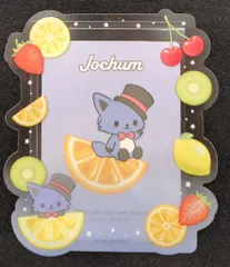 JO1 JOCHUMフルーツデザインシリーズ 川尻蓮 硬質カードケース&カード レイン