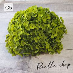 アナベルアジサイ プリザーブドフラワー (アジサイ あじさい 紫陽花) ハンドメイド アレンジ 制作 資材 材料 スワッグ リース ブーケ ハーバリウム レジン  ディープグリーン (G5) 20g