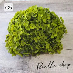 アナベルアジサイ プリザーブドフラワー (アジサイ あじさい 紫陽花) ハンドメイド アレンジ 制作 資材 材料 スワッグ リース ブーケ ハーバリウム レジン  ディープグリーン (G5) 20g