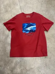 EDDIE BAUER(エディー・バウアー) 半袖T