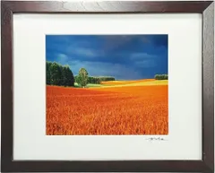 2026年最新】前田真三の人気アイテム - メルカリ