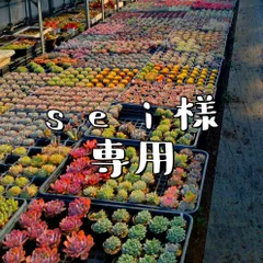 sei様専用