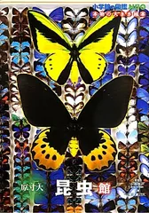 原寸大昆虫館 (小学館の図鑑NEO 本物の大きさ絵本)／小池啓一