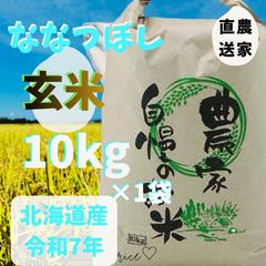 玄米 無農薬 きらみずき 20kg 令和7年産 玄米 無農薬 きらみずき 20kg 令和7年産 - メルカリ