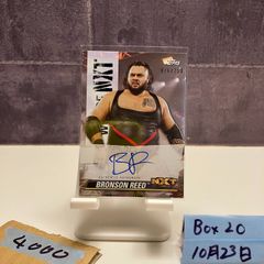 Item thumbnail for item 66f37df4-d30d-46af-ae9c-0c66152ef9d4