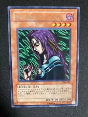 2026年最新】黒き森のウィッチの人気アイテム - メルカリ